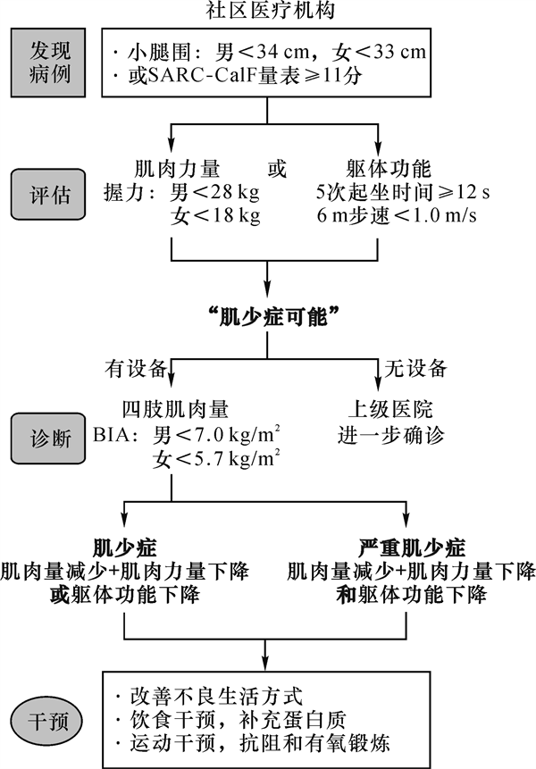 肌少5