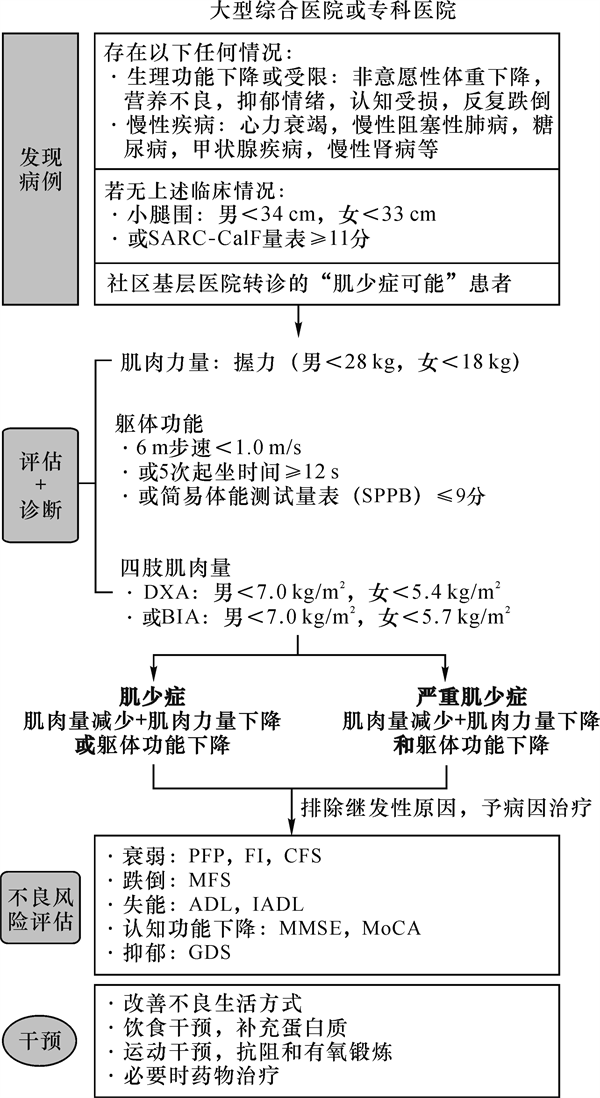 肌少7