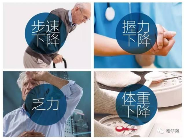 肌少1