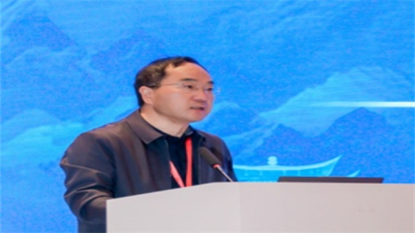 肾脏4